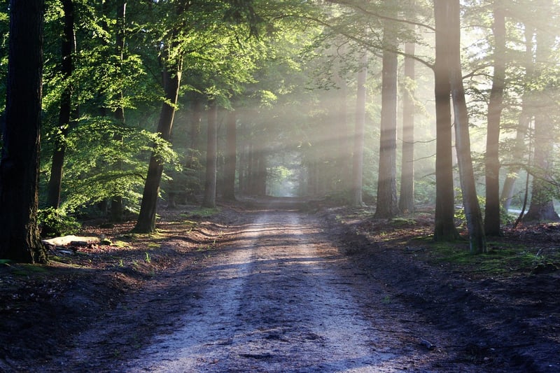 Mystery Trails